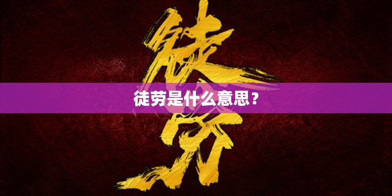 家居花卉种植与养护技巧总结