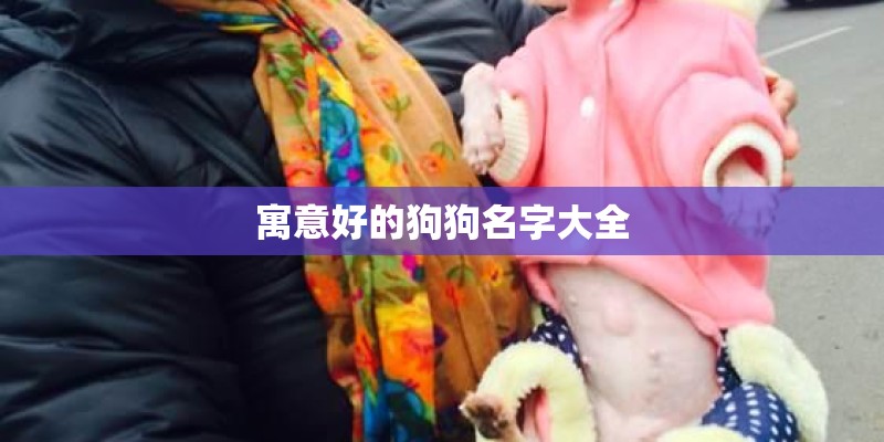 寓意好的狗狗名字大全 寓意好的狗狗名字大全