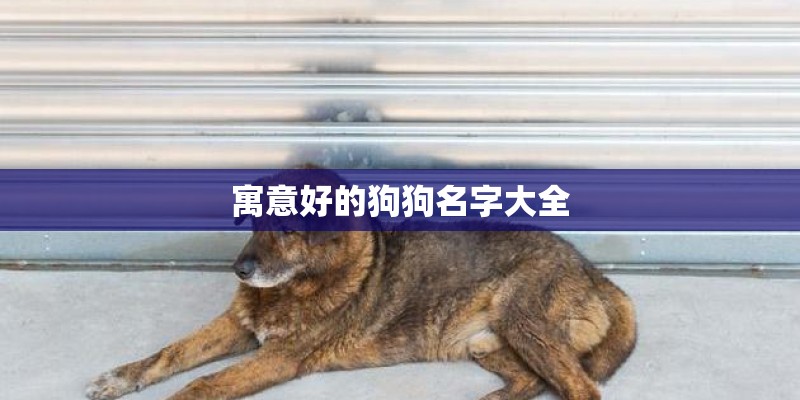 寓意好的狗狗名字大全 寓意好的狗狗名字大全