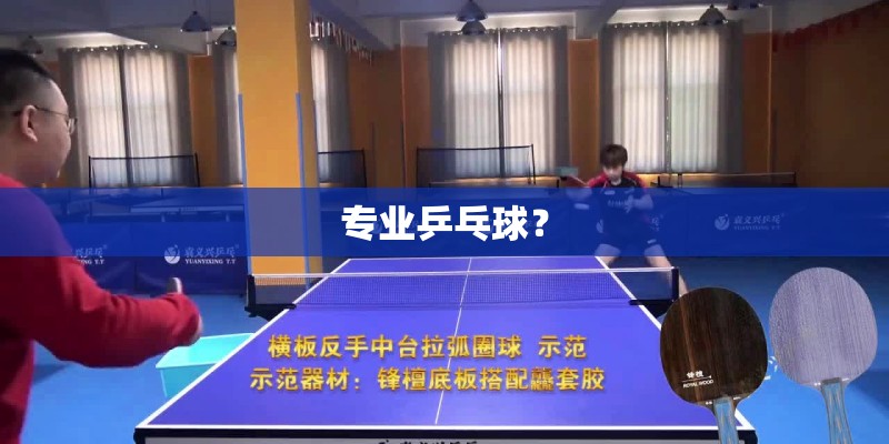 专业乒乓球？
