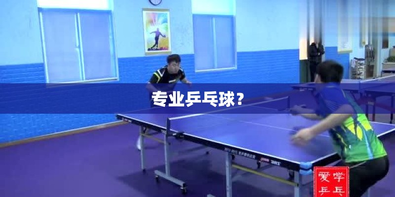 专业乒乓球? 专业乒乓球?