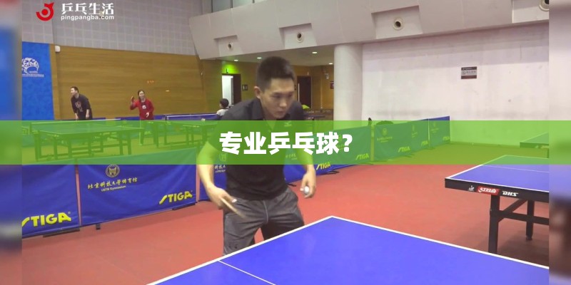 专业乒乓球? 专业乒乓球?