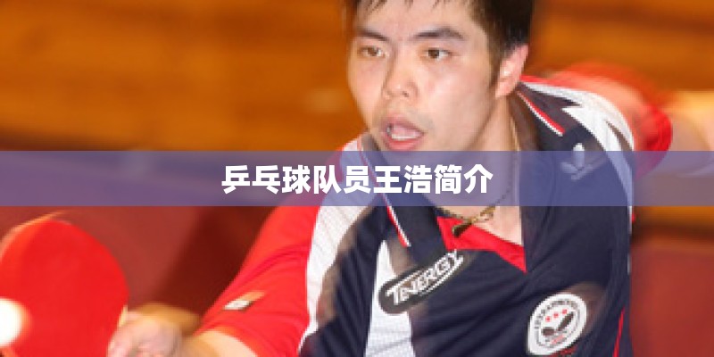 乒乓球队员王浩简介 乒乓球队员王浩简介