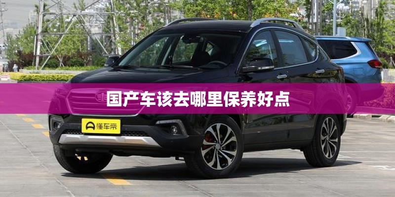 国产车该去哪里保养好点 国产车该去哪里保养好点