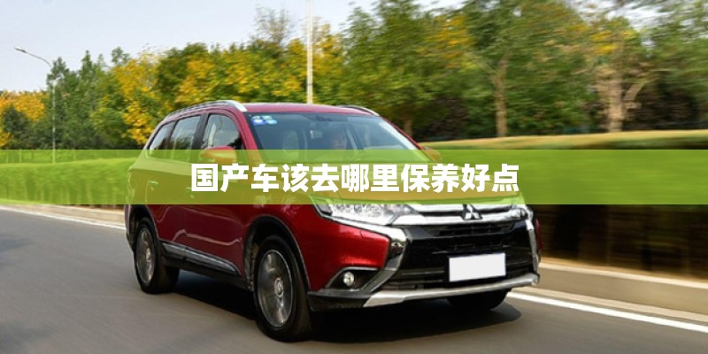 国产车该去哪里保养好点 国产车该去哪里保养好点