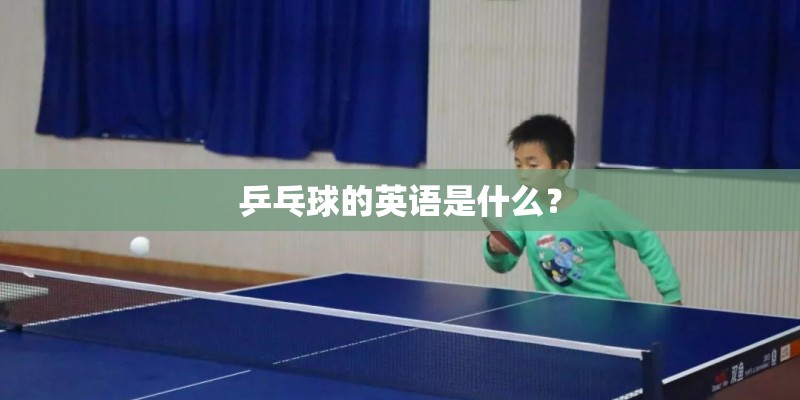 乒乓球的英语是什么? 乒乓球的英语是什么?
