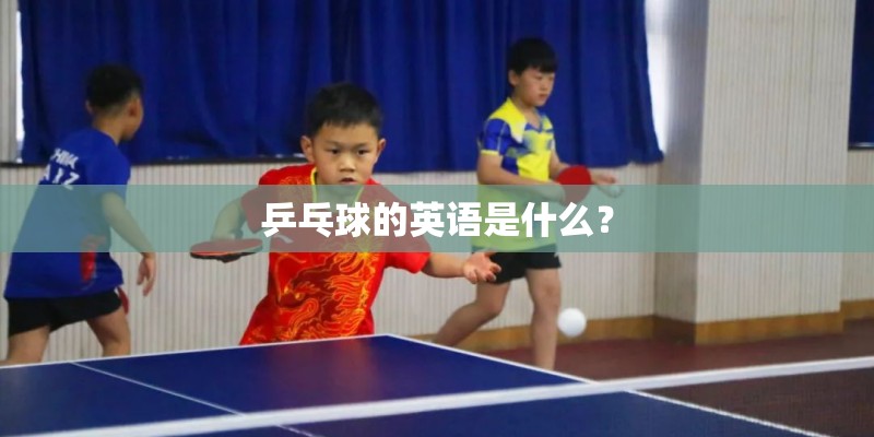 乒乓球的英语是什么? 乒乓球的英语是什么?
