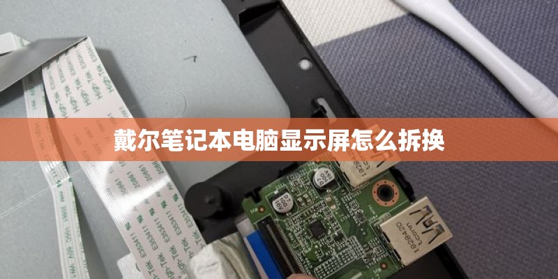 戴尔笔记本电脑显示屏怎么拆换 戴尔笔记本电脑显示屏怎么拆换