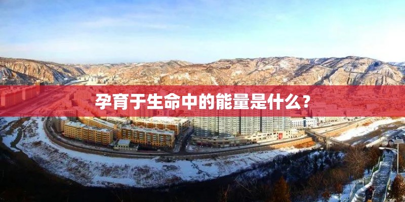 孕育于生命中的能量是什么? 孕育于生命中的能量是什么?