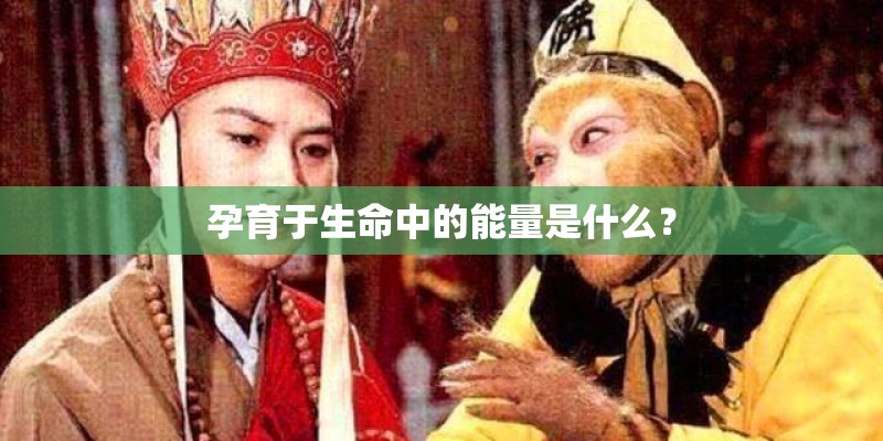 孕育于生命中的能量是什么? 孕育于生命中的能量是什么?