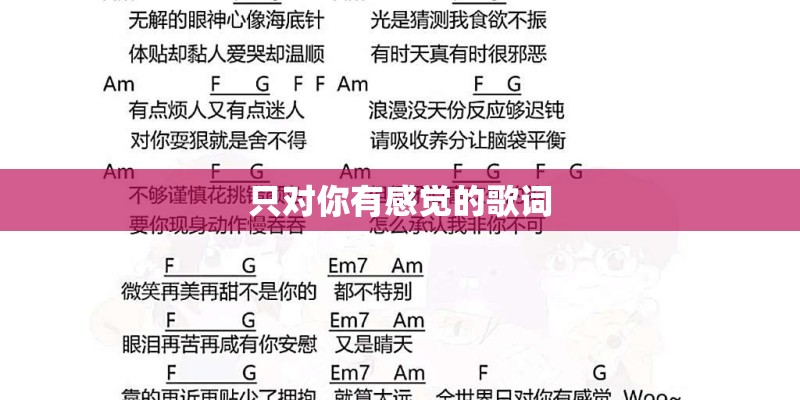 只对你有感觉的歌词