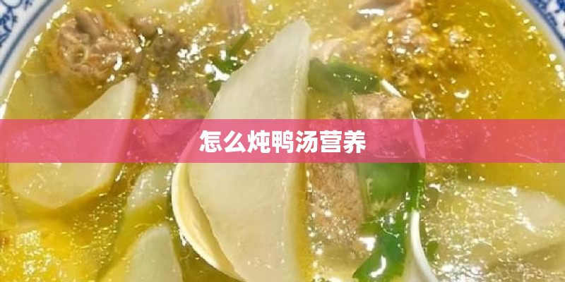 怎么炖鸭汤营养