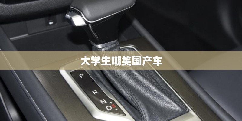 大学生嘲笑国产车