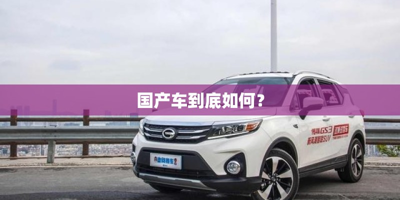 国产车到底如何？
