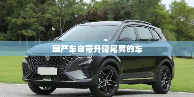 国产车自带升降尾翼的车 国产车自带升降尾翼的车