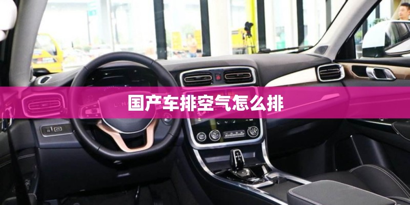国产车排空气怎么排