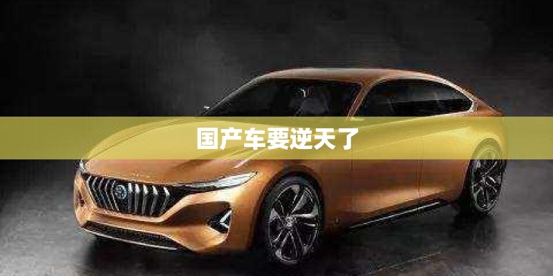 国产车要逆天了