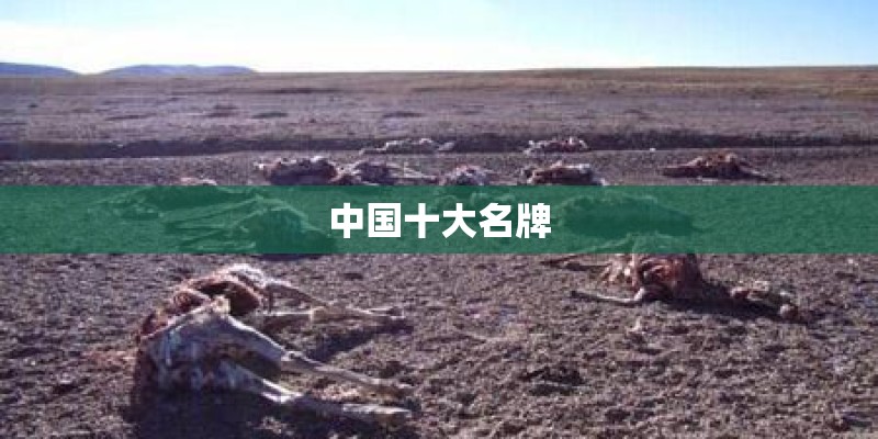中国十大名牌 中国十大名牌