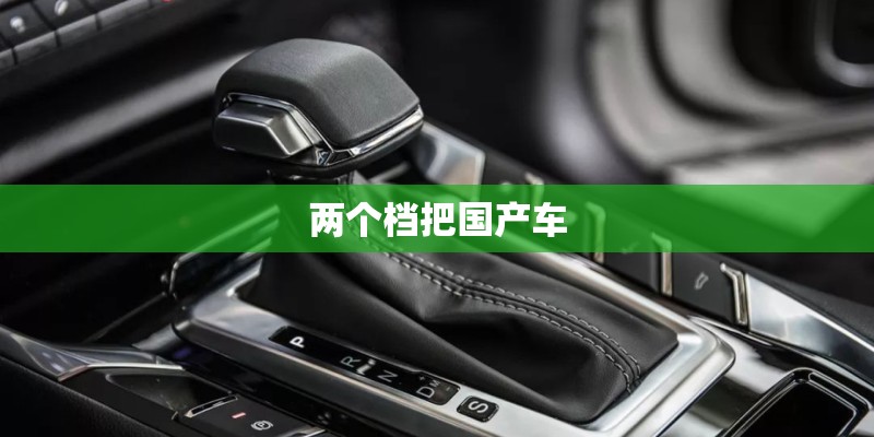 两个档把国产车 两个档把国产车