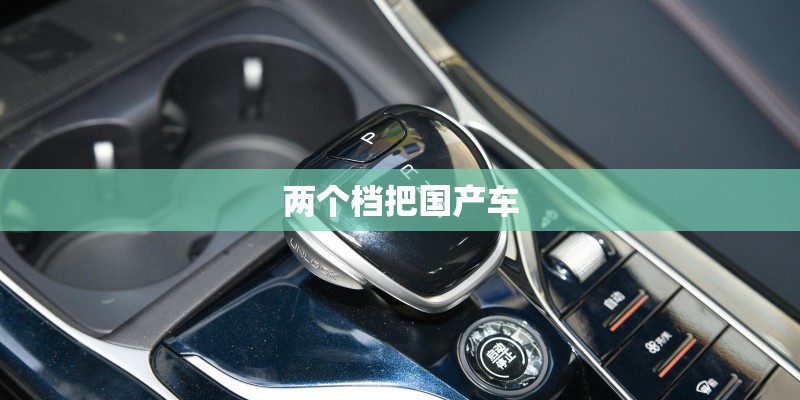 两个档把国产车 两个档把国产车