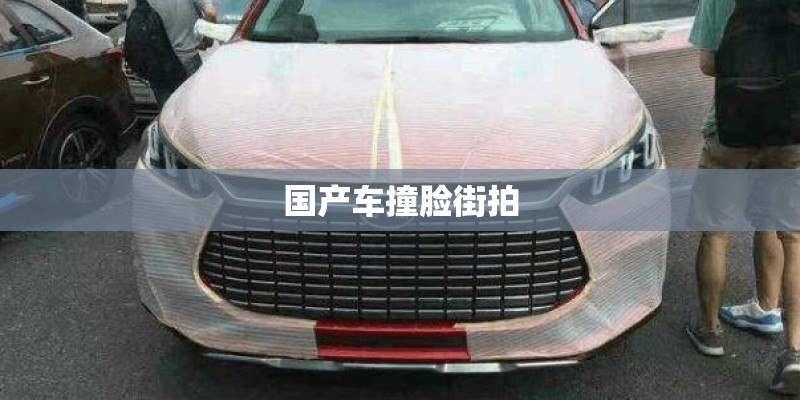 国产车撞脸街拍 国产车撞脸街拍