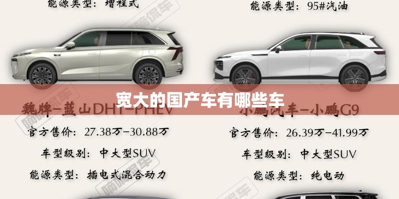 宽大的国产车有哪些车