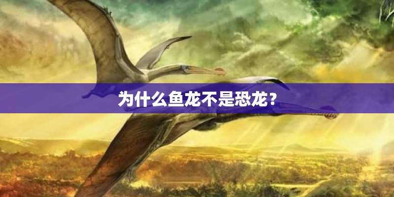 为什么鱼龙不是恐龙？