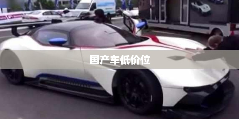 国产车低价位
