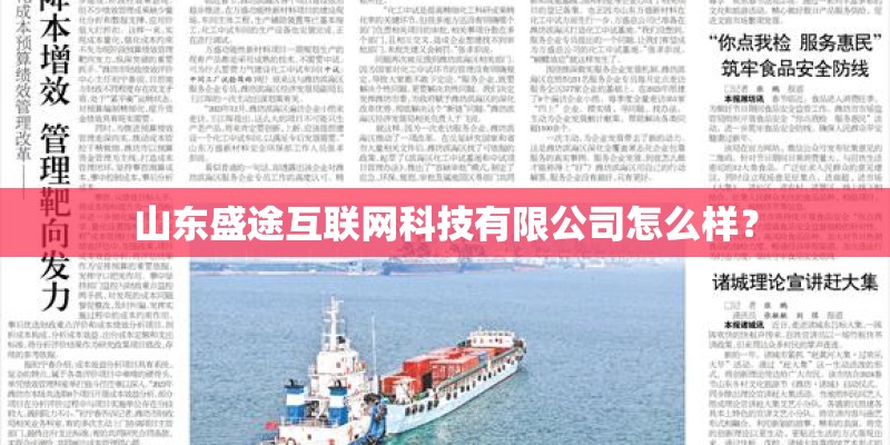 山东盛途互联网科技有限公司怎么样？