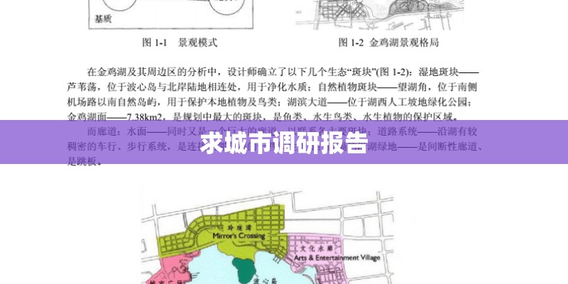 求城市调研报告