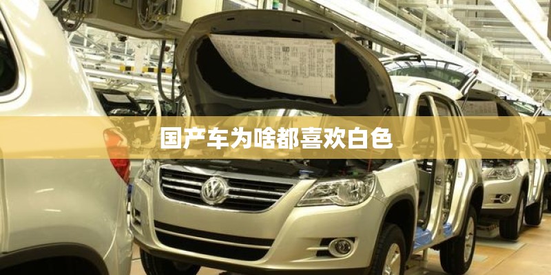 国产车为啥都喜欢白色
