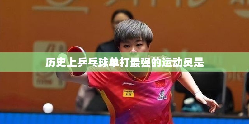 历史上乒乓球单打最强的运动员是