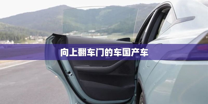 向上翻车门的车国产车