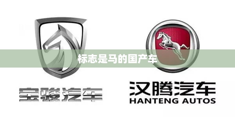 标志是马的国产车