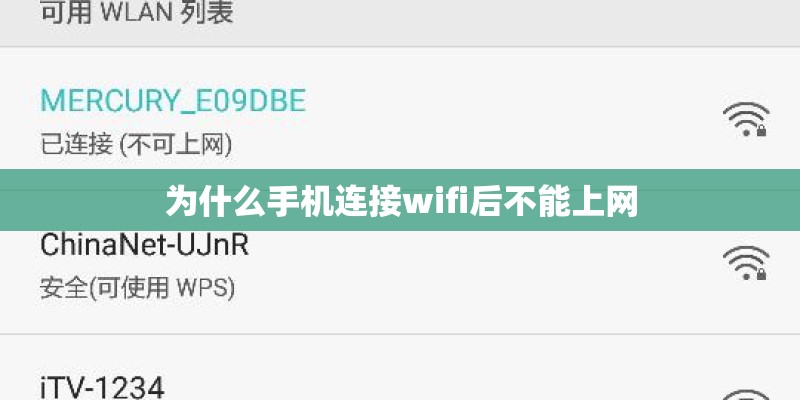 为什么手机连接wifi后不能上网