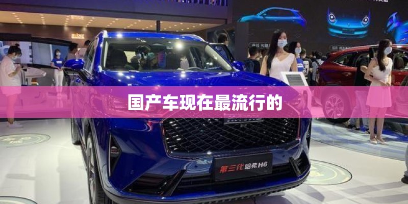 国产车现在最流行的