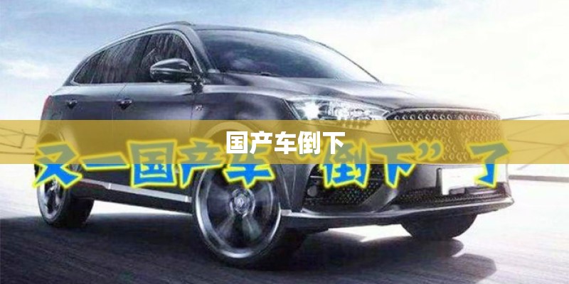 国产车倒下