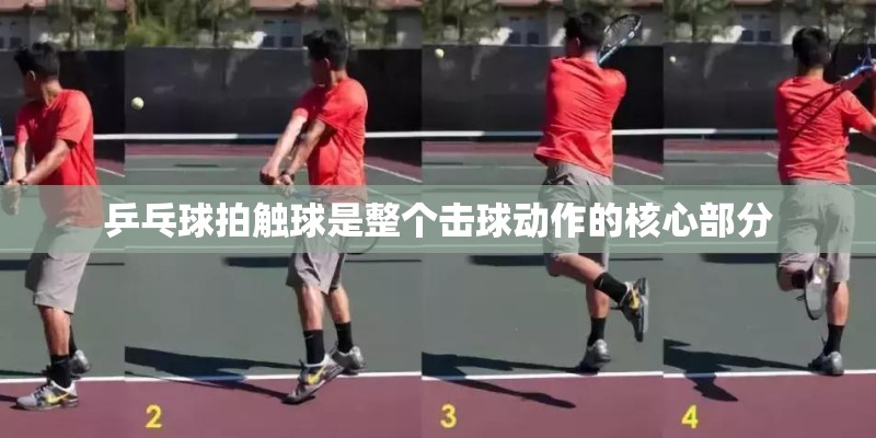 乒乓球拍触球是整个击球动作的核心部分