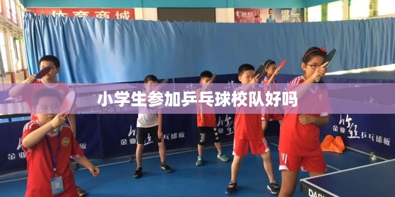 小学生参加乒乓球校队好吗