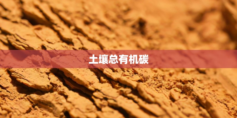 土壤总有机碳