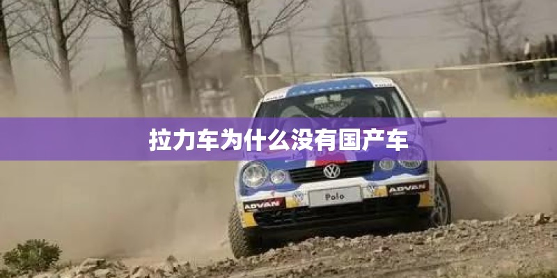 拉力车为什么没有国产车