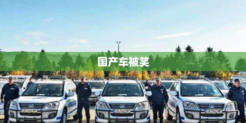 国产车被笑 国产车被笑