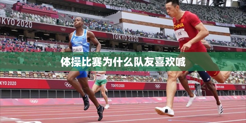 十大名牌老年四轮代步车