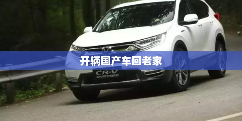 开辆国产车回老家