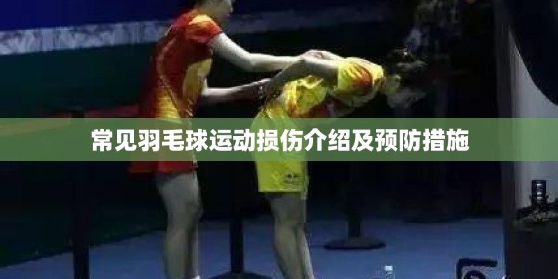常见羽毛球运动损伤介绍及预防措施
