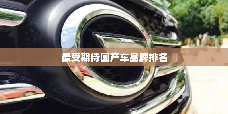 最受期待国产车品牌排名