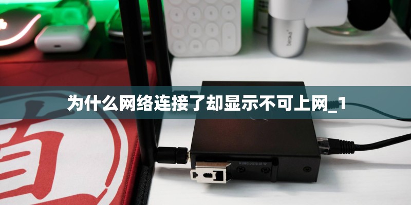 为什么网络连接了却显示不可上网_1