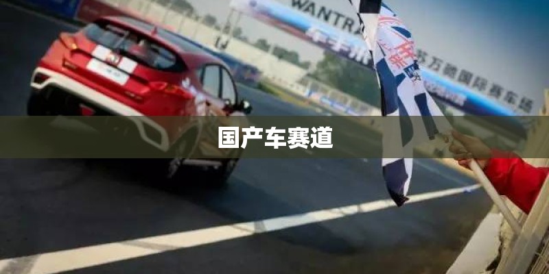 国产车赛道 国产车赛道