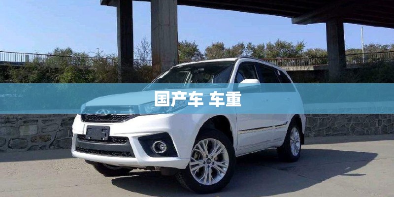 国产车 车重