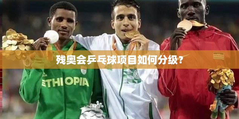 残奥会乒乓球项目如何分级？